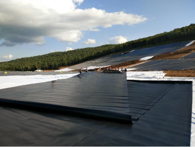 Length Client's Requirement HDPE Geomembrane Waterproof for Fish Farm Pond Liner Sheet 7