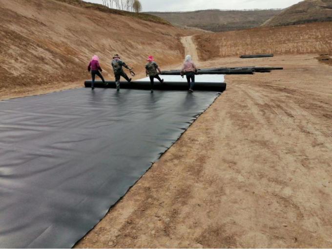 Length Client's Requirement HDPE Geomembrane Waterproof for Fish Farm Pond Liner Sheet 9