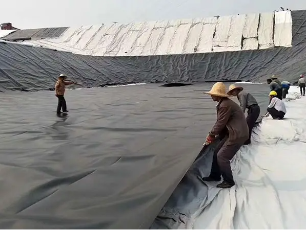 Length Client's Requirement HDPE Geomembrane Waterproof for Fish Farm Pond Liner Sheet 6