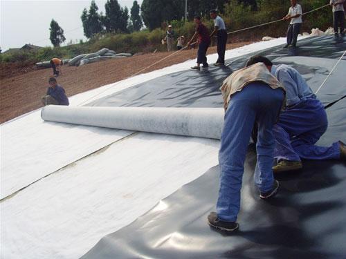 Waterproofing HDPE Geomembrane Pond Liner with Modern Design and 0.5mm Thickness 8