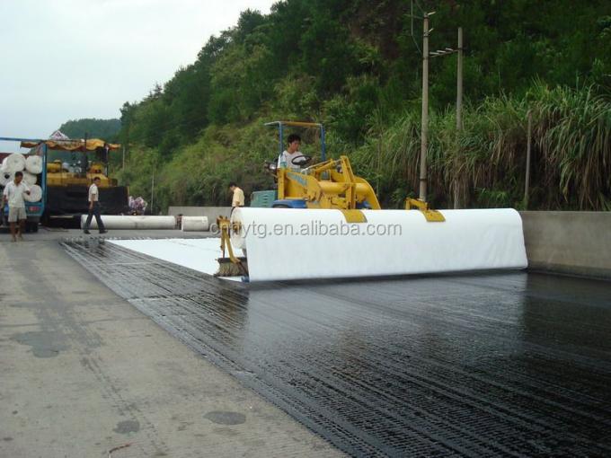 Non-Woven Geotextile Fabric 900g/m2 Polyester Felt Needle Punch for Hotel Development 3