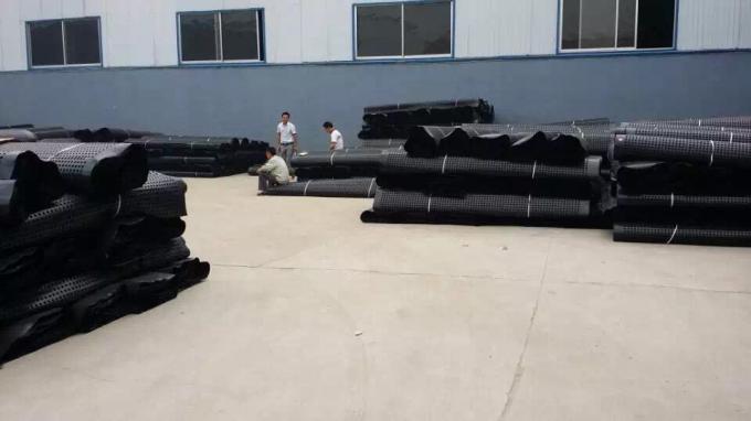 Modern Design Style Drainage HDPE Composite Drainage Board for Building and Construction 7