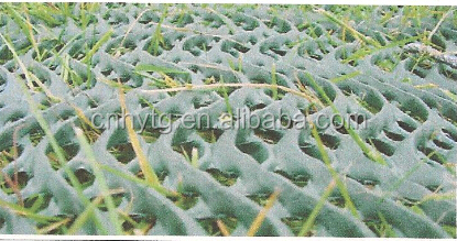 Moulding Service Green Drainage Mat for Nature Pressure Treated Wood Plastic Plain Net 3