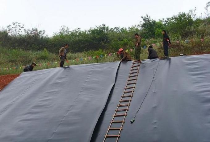 Waterproofing HDPE Geomembrane Pond Liner with Modern Design and 0.5mm Thickness 7