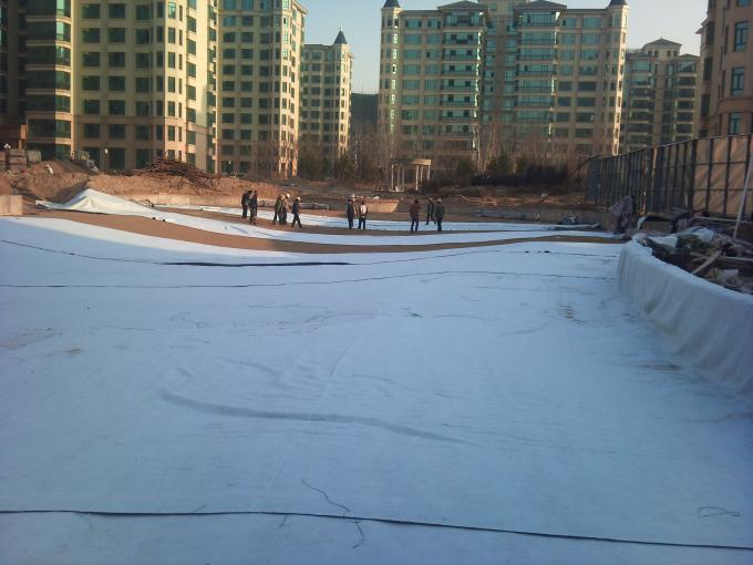 Waterproof Membrane Geotextile Bentonite Non Woven Fabric for Reservoir Clay Liners 10