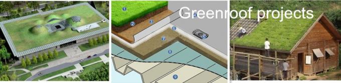Revolutionize Your Water Management System with 8mm-20mm Dimple Mat Drainage Board 4