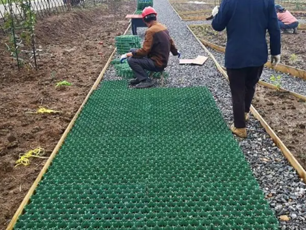 Vehicle and Pedestrian Traffic Stabilized with Plastic Grass Grid Core Landscape 8